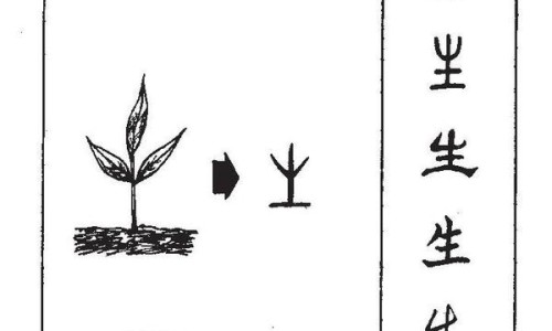 白萝卜 做面条的吃法大全-白萝卜 做面条的吃法网 - 网站提供白萝卜做面食的做法大全小常识、白萝卜面条的功效